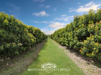 209 Malone Road Mareeba QLD 4880 - Image 3