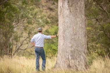 Click to view all images 527 Melrose Road Metz NSW 2350 - Image 3