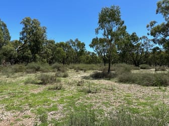 Moulamein NSW 2733 - Image 2