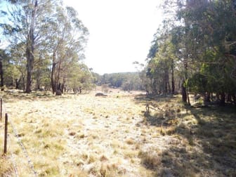 Lot 129 "Greens Creek" Steeple Flat Nimmitabel NSW 2631 - Image 3