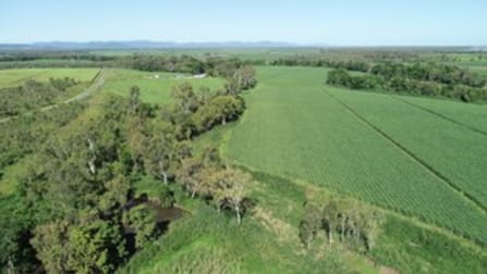 1185 Kelsey Creek Road Kelsey Creek QLD 4800 - Image 1