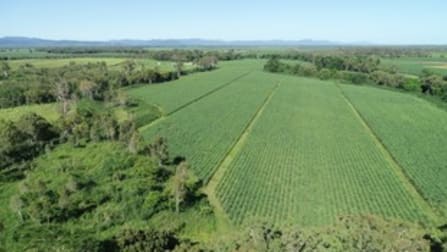 1185 Kelsey Creek Road Kelsey Creek QLD 4800 - Image 2
