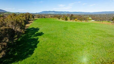 'The Point' Craven Road Allans Flat VIC 3691 - Image 3