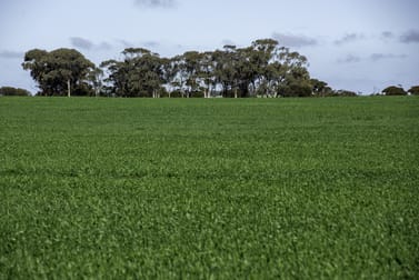 4132 Driscoll Road North Wialki WA 6473 - Image 1