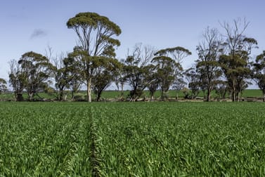 4132 Driscoll Road North Wialki WA 6473 - Image 2
