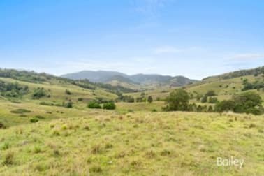 "Denby" Carrowbrook Road Singleton NSW 2330 - Image 1