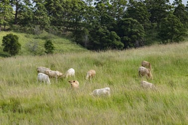 Lot 12 Aherns Road Conondale QLD 4552 - Image 3