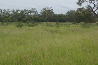 'Southwalk Station' Back Creek Road Charters Towers City QLD 4820 - Image 3