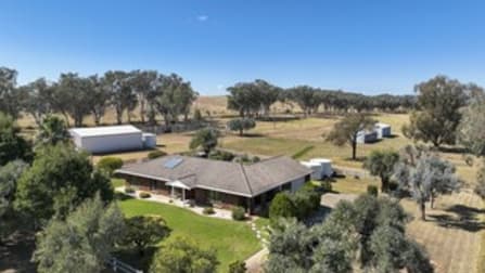 293 Meadows Lane Tamworth NSW 2340 - Image 1
