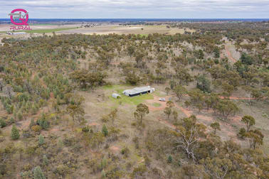 452 Merungle Hill Road Leeton NSW 2705 - Image 2