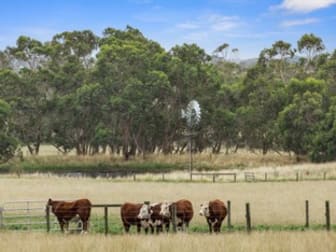 40 Axfords Road Outtrim VIC 3951 - Image 2