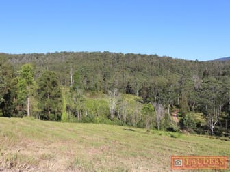 1184 Caparra Road Caparra NSW 2429 - Image 1