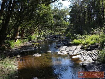 1184 Caparra Road Caparra NSW 2429 - Image 2