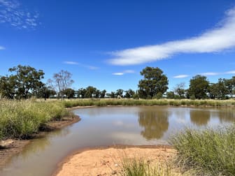 Bruie Plains Road Bruie Plains NSW 2875 - Image 1