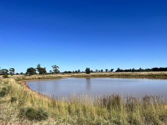 Bruie Plains Road Bruie Plains NSW 2875 - Image 3