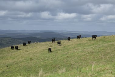 30 Lucas Road Upper Yarraman QLD 4614 - Image 3