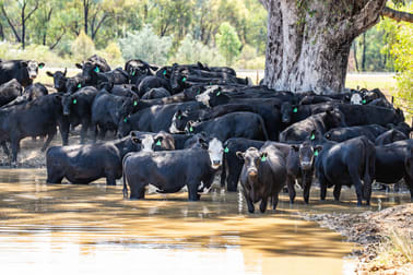 Barnawartha Depot Road Indigo Valley VIC 3688 - Image 3