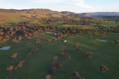 1721 Wee Jasper Road Tumut NSW 2720 - Image 2