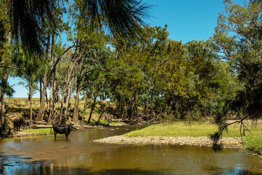 215 Wrights Lane Gulgong NSW 2852 - Image 1