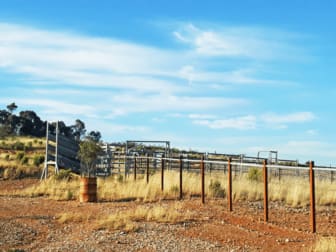 660 Kerrs Creek Road Kerrs Creek NSW 2800 - Image 3