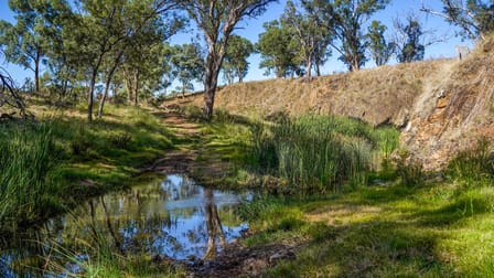 434 Curra Creek Road Wellington NSW 2820 - Image 3