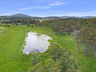 67 Runnymede Road Kyogle NSW 2474 - Image 1