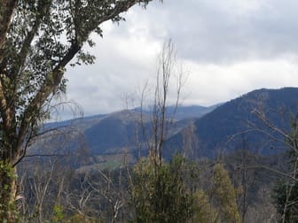 Lot 119 Orchard Lane Rocky Hall NSW 2550 - Image 1