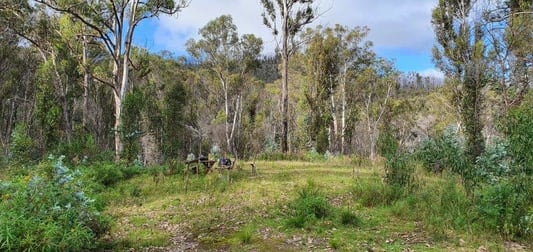 Lot 119 Orchard Lane Rocky Hall NSW 2550 - Image 3