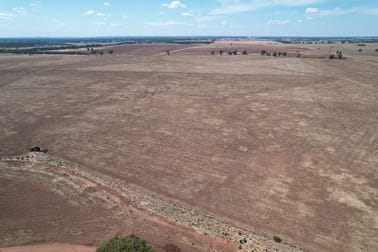 13166 Newell Highway West Wyalong NSW 2671 - Image 1