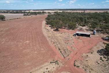 13166 Newell Highway West Wyalong NSW 2671 - Image 2