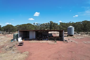 13166 Newell Highway West Wyalong NSW 2671 - Image 3