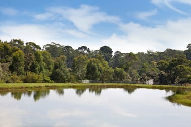 10/209 Timboon-Curdievale, Road Timboon VIC 3268 - Image 3