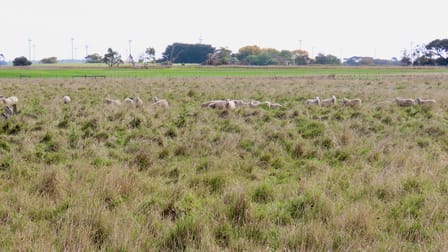 Lot 2 Beaton Road Tantanoola SA 5280 - Image 1