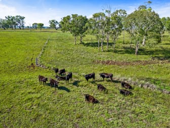 182 Forest Springs Road Forest Springs QLD 4362 - Image 2
