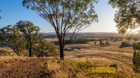299 Lower Piambong Road Mudgee NSW 2850 - Image 1