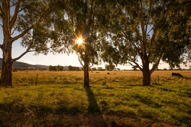'Belfield' Trevallyn Road Barraba NSW 2347 - Image 2