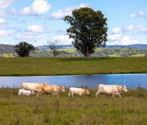 'Belfield' Trevallyn Road Barraba NSW 2347 - Image 3