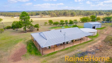 558 Patrick Road Dunedoo NSW 2844 - Image 2