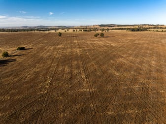 2204 Tooyal Road Coolamon NSW 2701 - Image 1