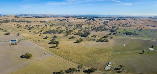 371 Caloola Road Bathurst NSW 2795 - Image 3