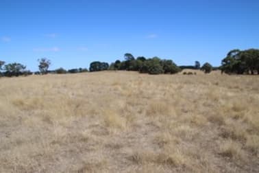 Click to view all images . Linton-Mannibadar Road Linton VIC 3360 - Image 1