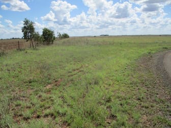 78 ACRES GRAZING / FARMING Aubigny QLD 4401 - Image 3