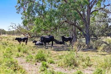 19 Wickham Road Karara QLD 4352 - Image 3
