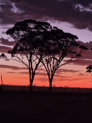 Nangeenan WA 6414 - Image 1
