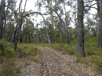 Lot 350 Muir Highway Rocky Gully WA 6397 - Image 1