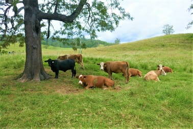 18 Gonpa Road Kyogle NSW 2474 - Image 2