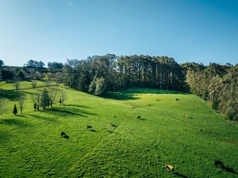 Lot 2/265 Wildes Meadow Road Wildes Meadow NSW 2577 - Image 3