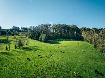 Lot 2/265 Wildes Meadow Road Wildes Meadow NSW 2577 - Image 1