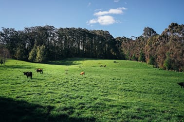 Lot 2/265 Wildes Meadow Road Wildes Meadow NSW 2577 - Image 2