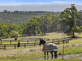 160 Raftis Road Nyora VIC 3987 - Image 1